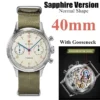 40 Sapphire Goose