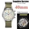 40 Sapphire Goose