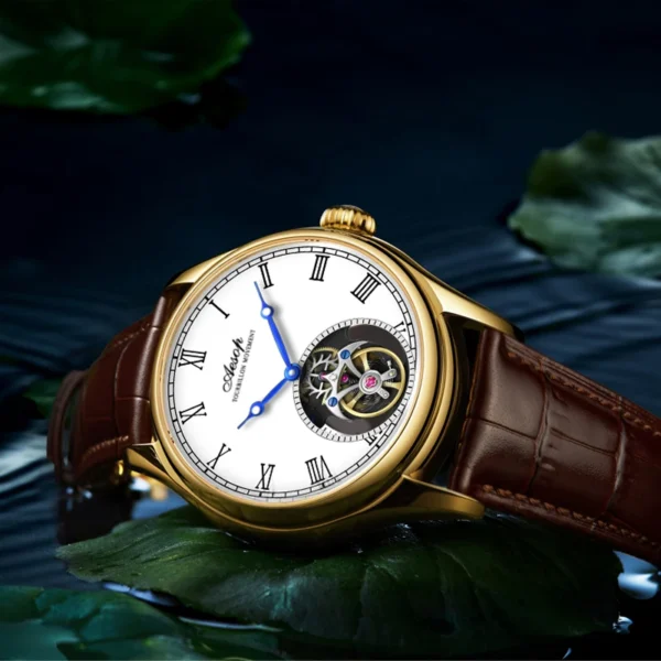 AESOP 7061 Skeleton Tourbillon Manual Sapphire Luxury Waterproof Watch 2
