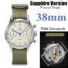 38 Sapphire Goose