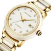 AIVASEE Hetian Business Jade Automatic Stainless Steel Waterproof Watch 1