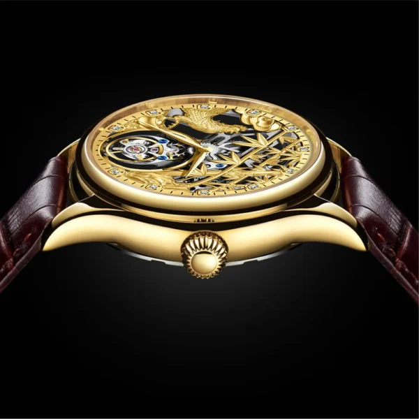AESOP 100% Real Luxury Tourbillon Skeleton Sapphire Waterproof 2
