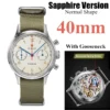 40 Sapphire Goose