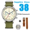38 Sapphire Goose