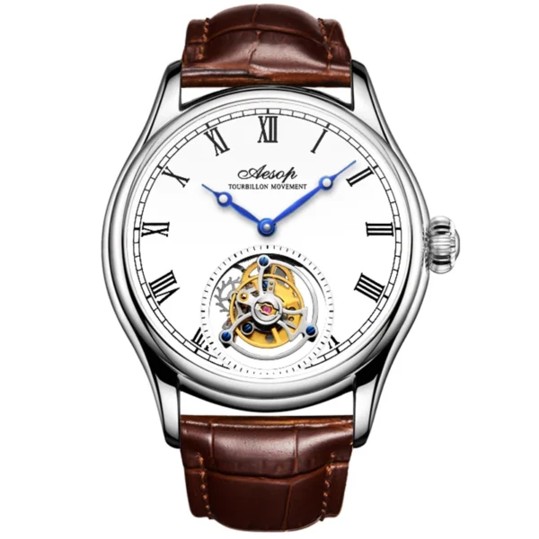 AESOP Original Flying Tourbillon Skeleton Luxury Sapphire Watch 2