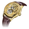 AESOP 100% Real Luxury Tourbillon Skeleton Sapphire Waterproof 1