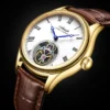 AESOP 7061 Skeleton Tourbillon Manual Sapphire Luxury Waterproof Watch 1