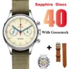 40 Sapphire Goose
