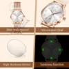 OLEVS 5653 Brand Fashion Women's Watch Arabic Numeral Scale Waterproof Date Quartz Watch for Lady Simple Classic Original Watch 6