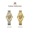 OUPINKE Women's Watches Top Brand Luxury Original Automatic Mechanical Watch for Lady Waterproof Luminous Sapphire Crystal New 6