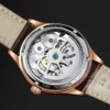 Ailang men's watch double flywheel 2020new leather fashion stainless steel automatic Moon phase famous mechanical watch 3