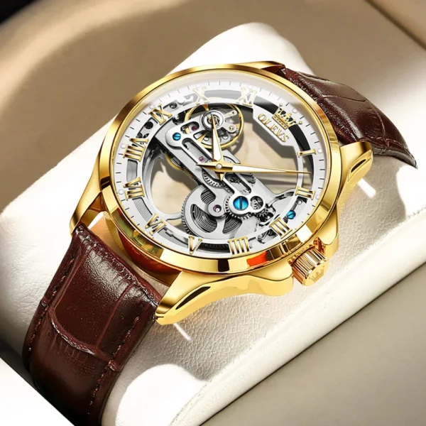 OLEVS Men's Watches Automatic Mechanical Watches Waterproof Leather Strap Top Luxury Men Wristwatch Luminous Gift Box Watch Men 2
