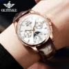OUPINKE 3189 Mens Watch Original Luxury Automatic Mechanical Watch Moon Phase Waterproof Luminous Mens Gifts Reloj Hombre 3