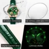 OLEVS Luxury Brand Women Mechanical Watch Leather Strap Waterproof Simple Fashion Ladies Automatic Wristwatch Relojes Para Mujer 5
