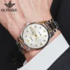 OUPINKE 3169 Men Watch Luxury Brand Imported Automatic Movement Watch Fashion Sapphire Waterproof Calendar Men Mechanical Watch 3