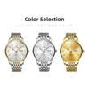 OLEVS Luxury Brands Original Quartz Men's Watches Waterproof Fashion Gold Wristwatch for Male Luminous  Butterfly Buckle Watch 6